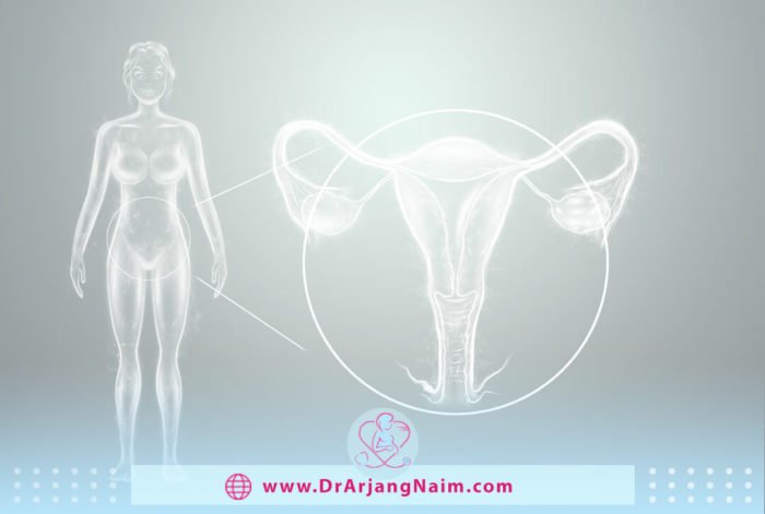 Primary ovarian insufficiency