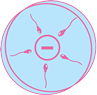 BIRTH CONTROL SERVICES